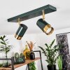 Campanas Plafondlamp Groen, Messing, 2-lichts