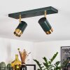 Campanas Plafondlamp Groen, Messing, 2-lichts