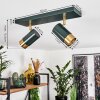 Campanas Plafondlamp Groen, Messing, 2-lichts