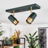 Campanas Plafondlamp Groen, Messing, 2-lichts