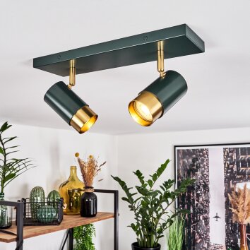 Campanas Plafondlamp Groen, Messing, 2-lichts