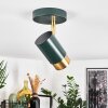 Campanas Plafondlamp Groen, Messing, 1-licht