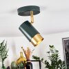 Campanas Plafondlamp Groen, Messing, 1-licht