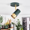 Campanas Plafondlamp Groen, Messing, 1-licht