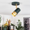 Campanas Plafondlamp Groen, Messing, 1-licht