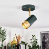 Campanas Plafondlamp Groen, Messing, 1-licht