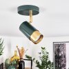 Campanas Plafondlamp Groen, Messing, 1-licht