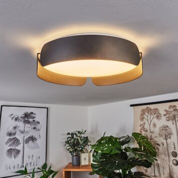 Fuscado Plafondlamp LED Zwart, 1-licht