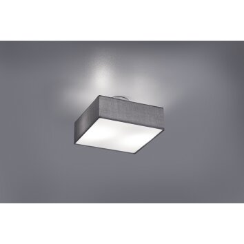 Trio EMBASSY Plafondlamp Nikkel mat, 2-lichts