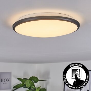 Magdala Plafondpaneel LED Zwart, Wit, 1-licht