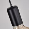 Avestruz Hanglamp Natuurlijke kleuren, Zwart, 6-lichts