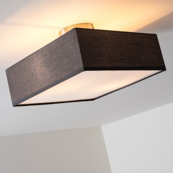 Taboga Plafondlamp Nikkel mat, 2-lichts
