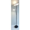 Fischer & Honsel Dent Staande lamp LED Zwart, 1-licht