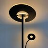 Fischer & Honsel Dent Staande lamp LED Zwart, 1-licht