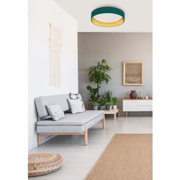 Fischer & Honsel Aura Plafondlamp LED Wit, 1-licht