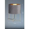 Fischer & Honsel Aura Tafellamp Goud, 1-licht