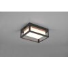 Trio Witham Buiten muurverlichting LED Antraciet, 1-licht