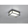 Trio Witham Buiten muurverlichting LED Antraciet, 1-licht