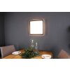 Luce Design SOLSTAR Muurlamp LED Natuurlijke kleuren, Zwart, 1-licht