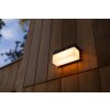 Lutec FRAN Buiten muurverlichting LED Zwart, 1-licht, Bewegingsmelder