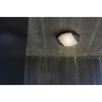 Lutec SWEEP Buitenshuis plafond verlichting LED Antraciet, 1-licht