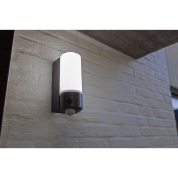 Lutec POLLUX Buiten muurverlichting LED Antraciet, 1-licht, Bewegingsmelder