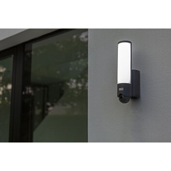 Lutec ELARA Buiten muurverlichting LED Antraciet, 1-licht, Bewegingsmelder