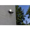 Lutec SHRIMP Buiten muurverlichting LED Zwart, 1-licht, Bewegingsmelder
