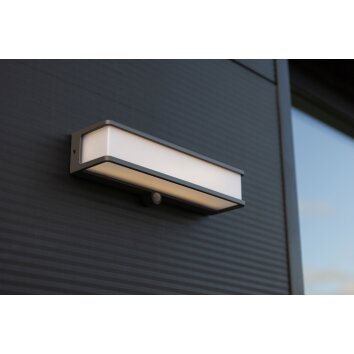 Lutec DOBLO Buiten muurverlichting LED Antraciet, 1-licht, Bewegingsmelder