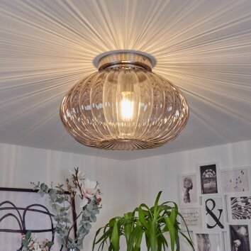 Chapal Plafondlamp Nikkel mat, 1-licht
