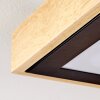 Corinto Plafondpaneel LED Natuurlijke kleuren, Zwart, 1-licht