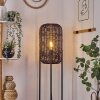 Zaracure Staande lamp Zwart, 1-licht