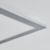 Wilderswil Plafondpaneel LED Wit, 1-licht