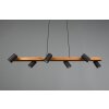 Trio MARLEY Hanglamp Zwart, 6-lichts