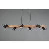 Trio MARLEY Hanglamp Zwart, 6-lichts