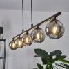 Belleoram Hanglamp LED Zwart, 5-lichts
