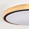 Corinto Plafondlamp LED Natuurlijke kleuren, Zwart, 1-licht