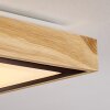 Corinto Plafondlamp LED Natuurlijke kleuren, Zwart, 1-licht