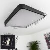 Batamoto Plafondpaneel LED Zwart, Wit, 2-lichts, Afstandsbediening, Kleurwisselaar