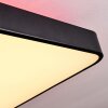 Batamoto Plafondpaneel LED Zwart, Wit, 2-lichts, Afstandsbediening, Kleurwisselaar
