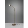 Trio Franklin Staande lamp LED Oud messing, 1-licht
