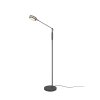 Trio Franklin Staande lamp LED Antraciet, 1-licht
