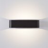 Brilliant Golda Buiten muurverlichting LED Zwart, 1-licht