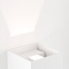 Brilliant Isak Buiten muurverlichting LED Wit, 1-licht