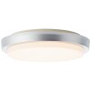 Brilliant Devora Buitenshuis plafond verlichting LED Zilver, 1-licht