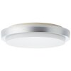 Brilliant Devora Buitenshuis plafond verlichting LED Zilver, 1-licht