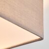 Taboga Plafondlamp Nikkel mat, 2-lichts