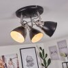 Gralingen Plafondlamp Nikkel mat, Zwart, 3-lichts