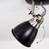 Gralingen Plafondlamp Nikkel mat, Zwart, 3-lichts