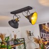 Llanage Plafondlamp Zwart, Wit, 2-lichts